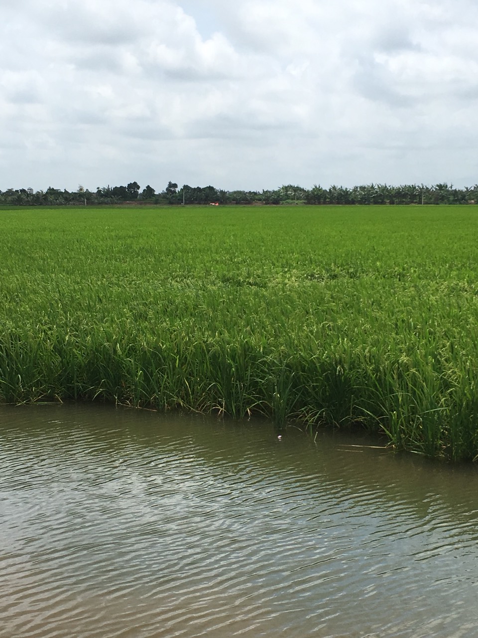 Leverage agile frameworks to provide