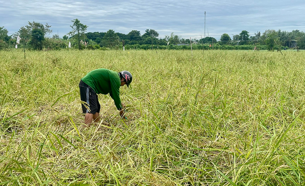 Ảnh bìa bài viết