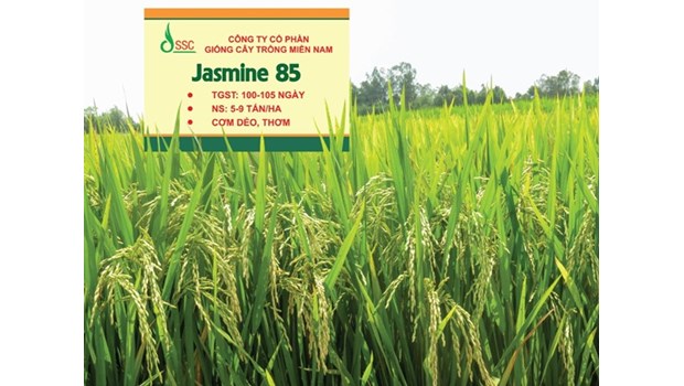 Ảnh bìa bài viết