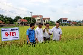 Ảnh bìa bài viết