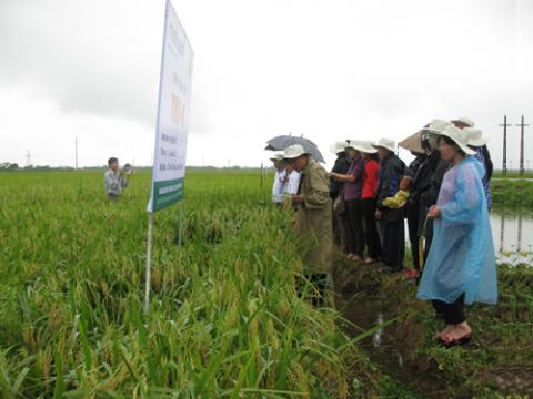 Ảnh bìa bài viết